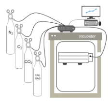 Dynamic Programming Capability (118pro Exclusive)