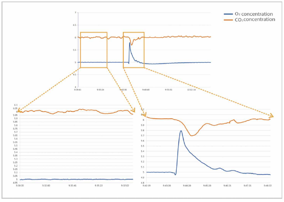 Stable Gas Concentration