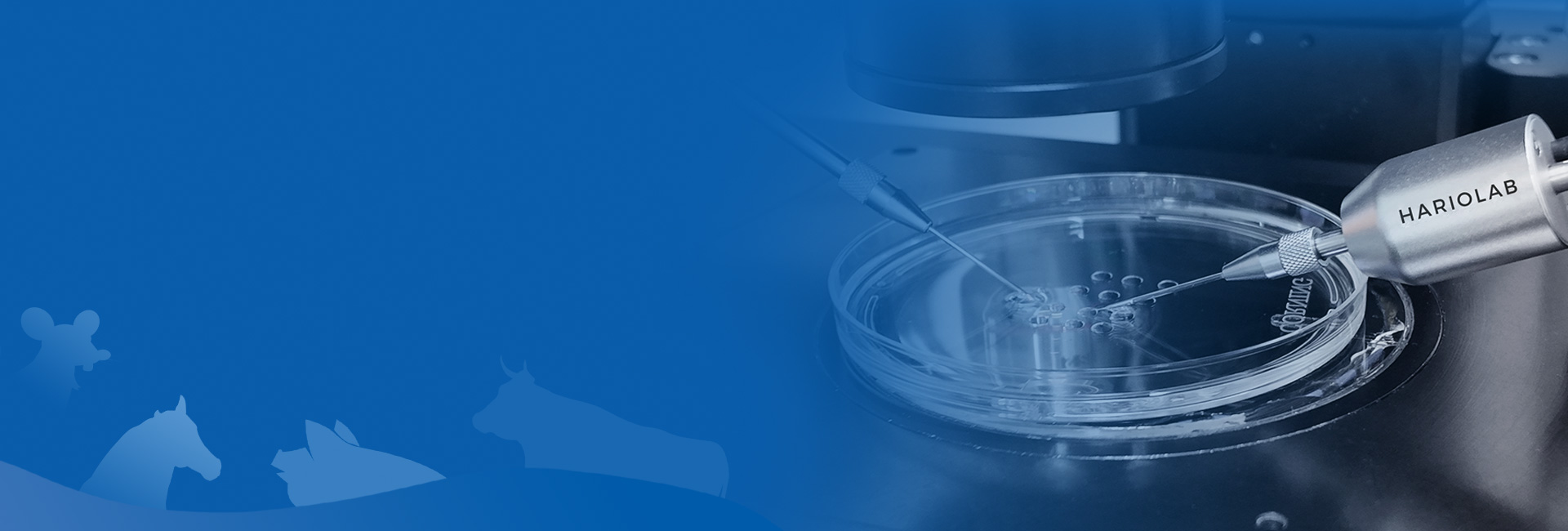 Animal Research Equipments