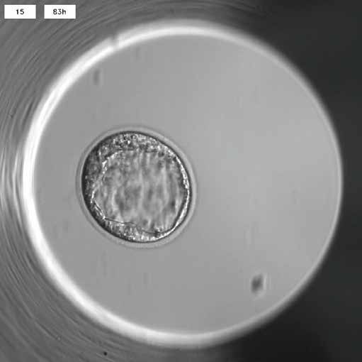 High Quality Imaging System