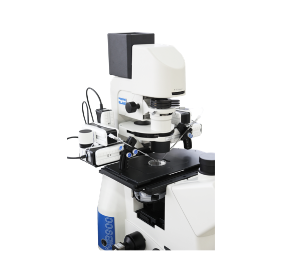 Pronucleus and cytoplasm injections