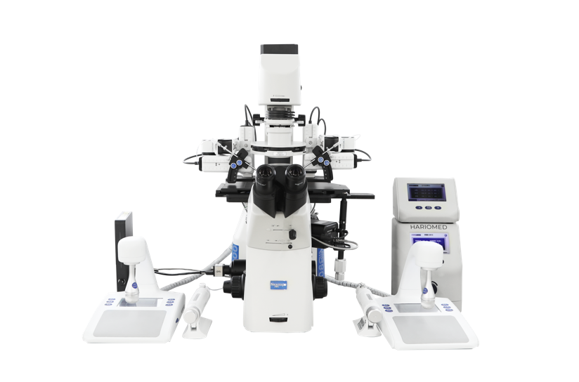 Intracytoplasmic Sperm Injection (ICSI)